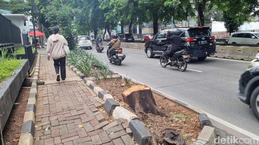 Asn Bina Marga Jaksel Dimutasi Usai Tebang Pohon Ilegal Di Kebayoran Lama