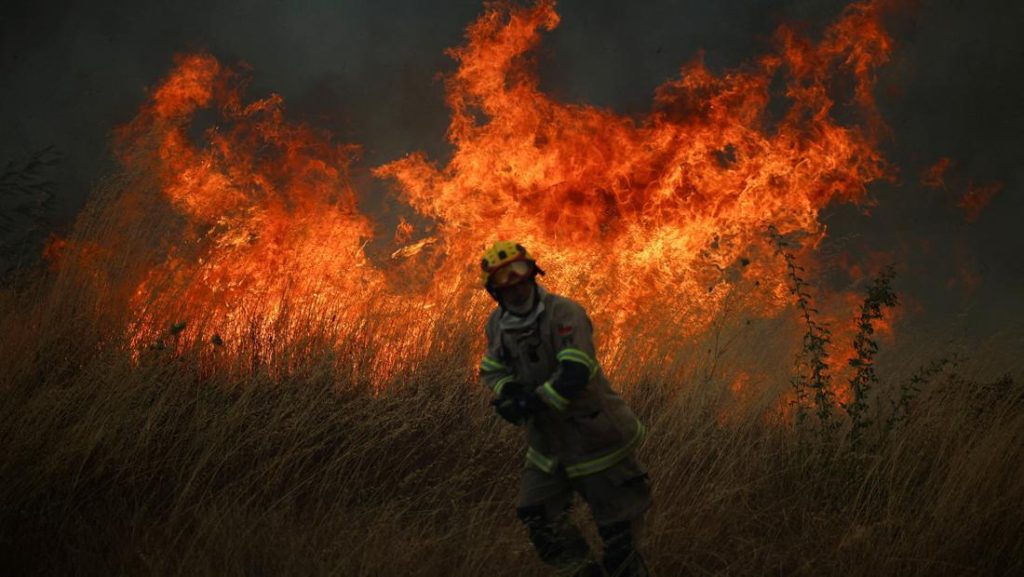 Kebakaran Hutan Landa Biobio Chile Warga Dievakuasi Darurat
