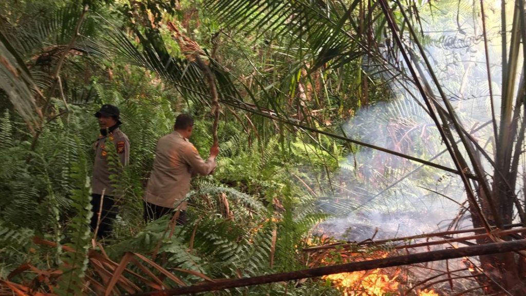 Berkat Laporan 110 Tim Gabungan Padamkan Karhutla Meranti Dengan Cepat