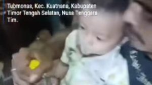 Viral Ayah Di Ntt Cekoki Bayi 11 Bulan Miras Polisi Turun Tangan