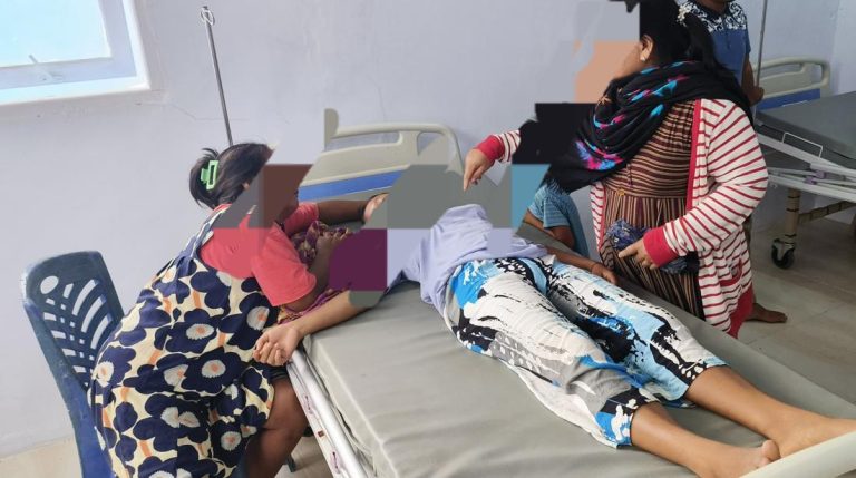 Komisi Ix Dpr Dorong Pemda Larang Daging Anjing Kucing Usai Kasus Keracunan Mamuju