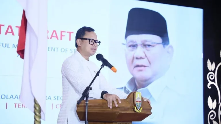 Wamendagri Dorong Pemda Manfaatkan Psn Untuk Dongkrak Ekonomi Daerah