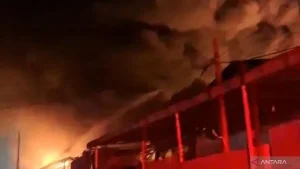 Amuk Api Lumat Empat Gudang Paket Di Jantung Logistik Jakarta Barat Kerugian Material Diperkirakan Fantastis