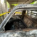 Pemuda Di Bali Bakar Kandang Sapi Mobil Ortu Pacar Gegara Cinta Tak Direstui