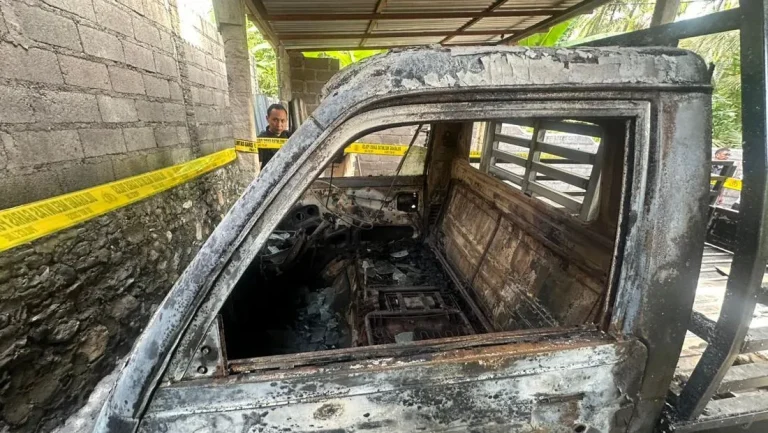 Pemuda Di Bali Bakar Kandang Sapi Mobil Ortu Pacar Gegara Cinta Tak Direstui